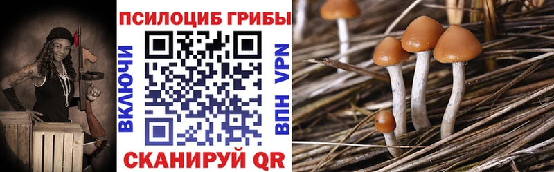 Галлюциногенные грибы GOLDEN TEACHER  Поворино 